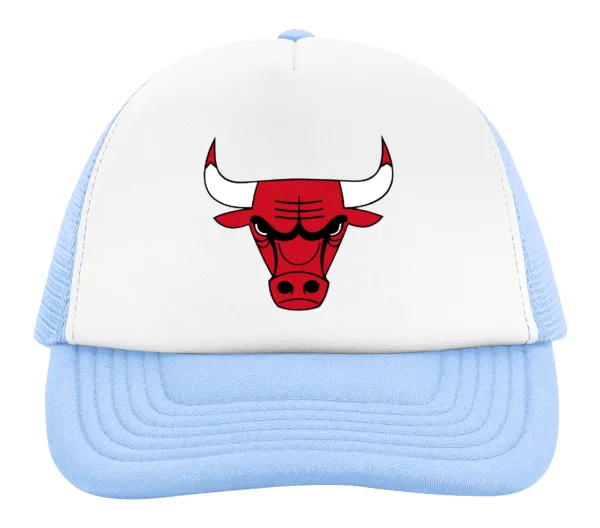 Chicago Bulls — 2