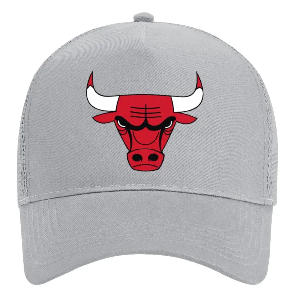 Chicago Bulls — 2