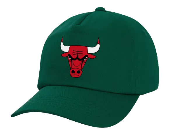 Chicago Bulls — 1