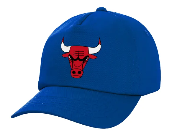Chicago Bulls — 1