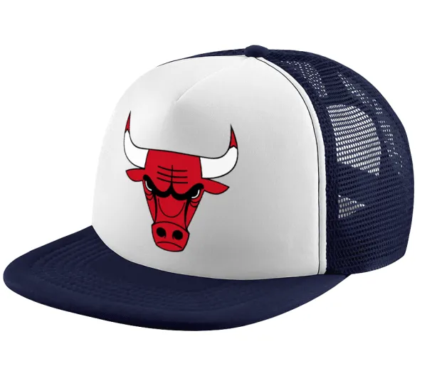 Chicago Bulls — 1