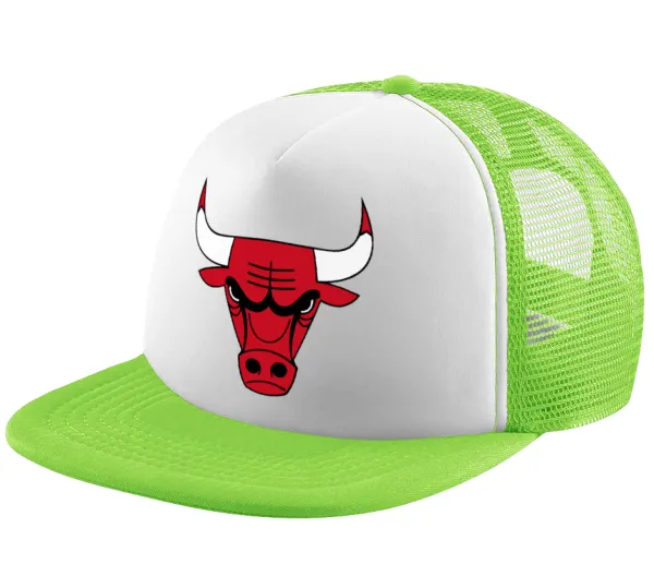 Chicago Bulls — 1