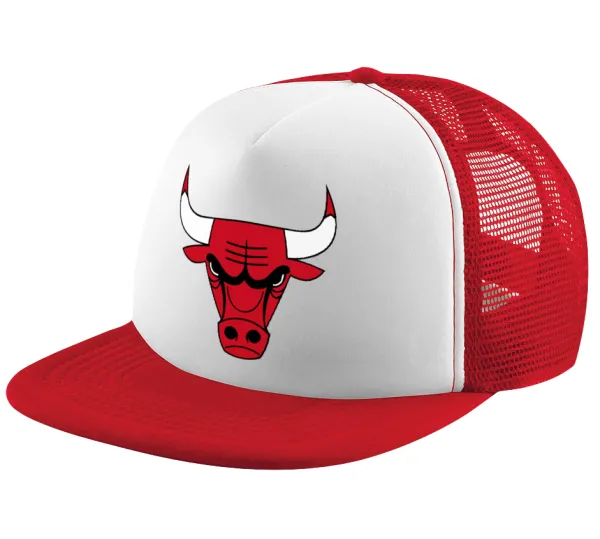 Chicago Bulls — 1