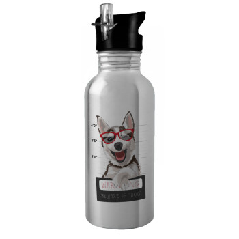 Warning, beware of Dog, Water bottle Silver with straw, stainless steel 600ml