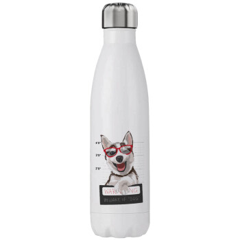 Warning, beware of Dog, Stainless steel, double-walled, 750ml