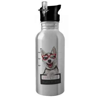 Warning, beware of Dog, Παγούρι νερού Ασημένιο με καλαμάκι, ανοξείδωτο ατσάλι 600ml