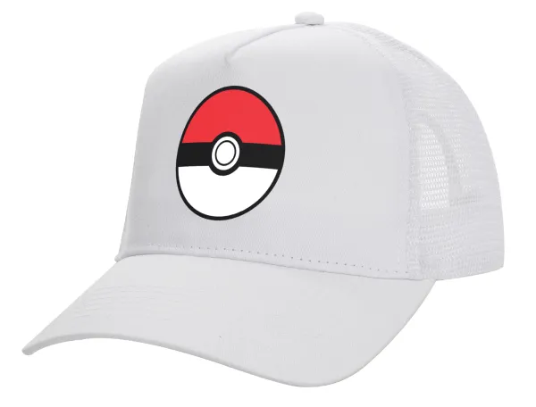 Pokemon ball — 1