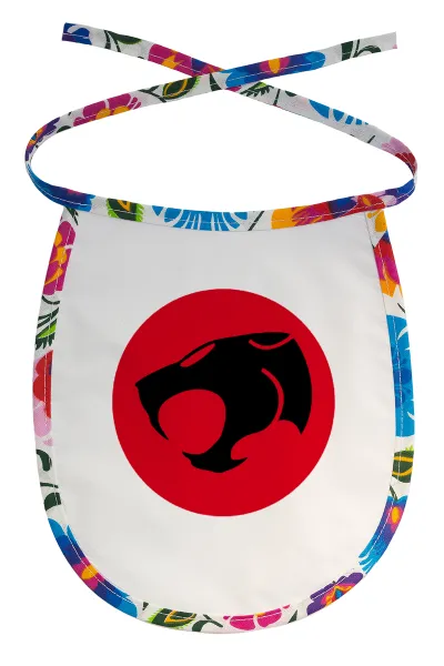 Thundercats — 1