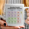   Standard model of elementary particles