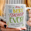   The best teacher ever!