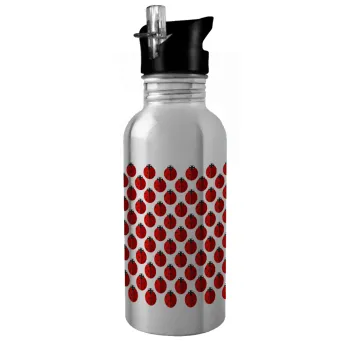 Coccinella, Water bottle Silver with straw, stainless steel 600ml