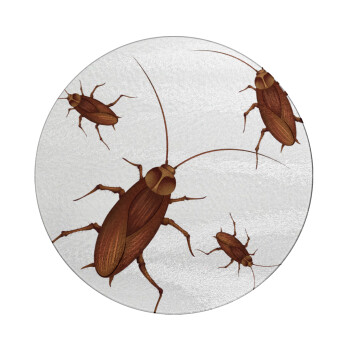 Blattodea, Επιφάνεια κοπής γυάλινη στρογγυλή (30cm)