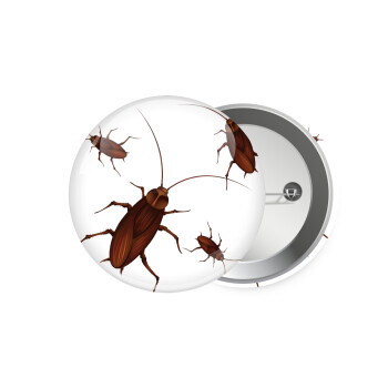 Blattodea, Κονκάρδα παραμάνα 7.5cm