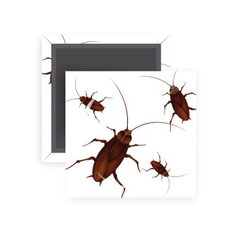 Blattodea, Μαγνητάκι ψυγείου τετράγωνο διάστασης 5x5cm