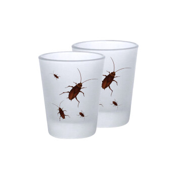 Blattodea, Σφηνοπότηρα γυάλινα 45ml του πάγου (2 τεμάχια)