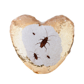 Blattodea, Μαξιλάρι καναπέ καρδιά Μαγικό Χρυσό με πούλιες 40x40cm περιέχεται το  γέμισμα