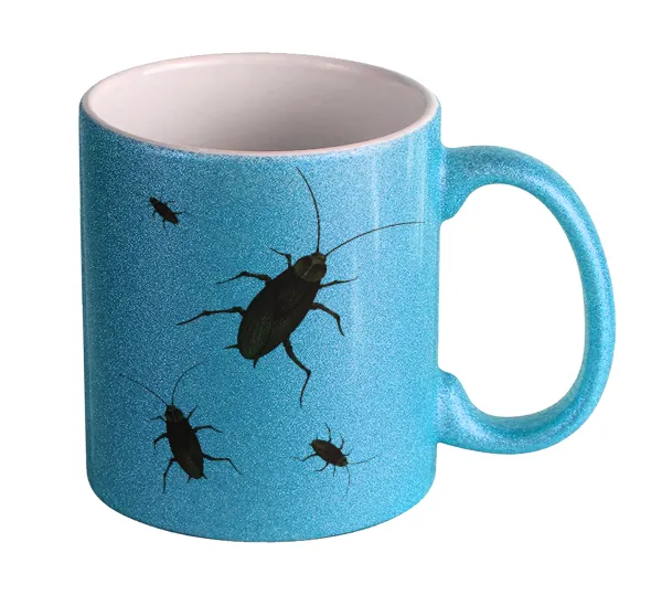 Blattodea — 1