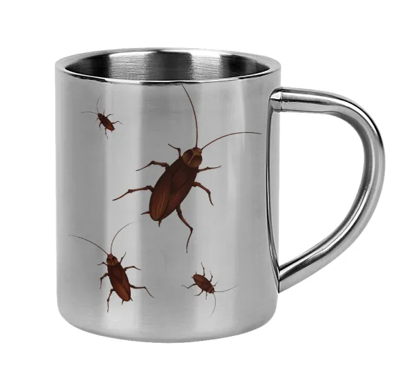 Blattodea — 1