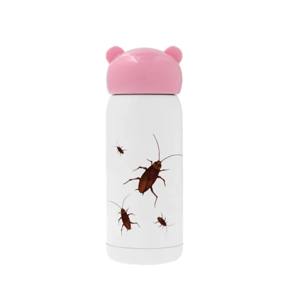 Blattodea — 1