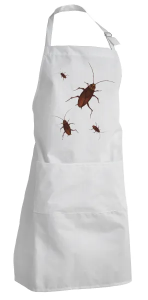 Blattodea — 1