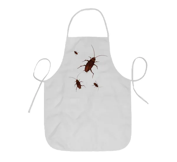 Blattodea — 1
