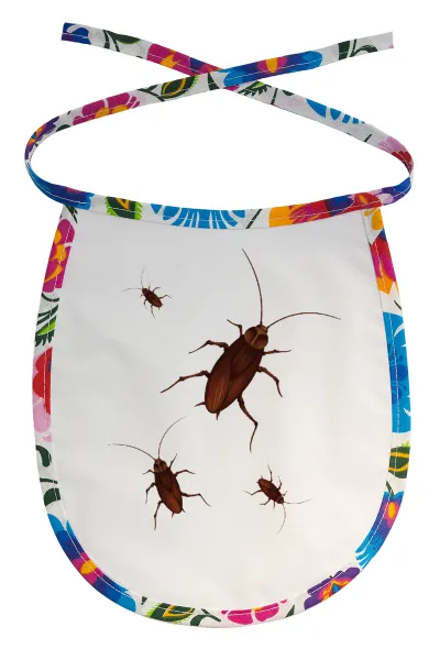 Blattodea — 1