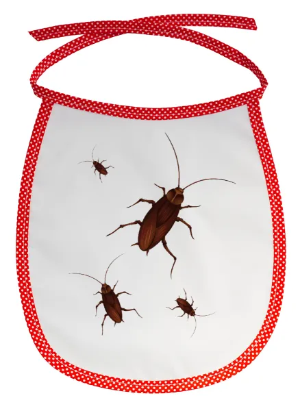 Blattodea — 1