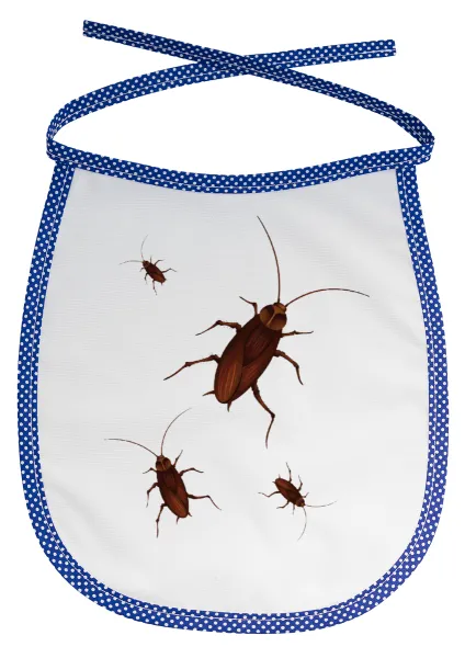 Blattodea — 1