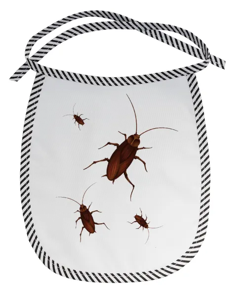 Blattodea — 1