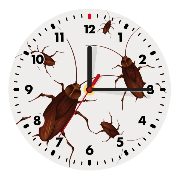Blattodea — Wooden wall clock (20cm)