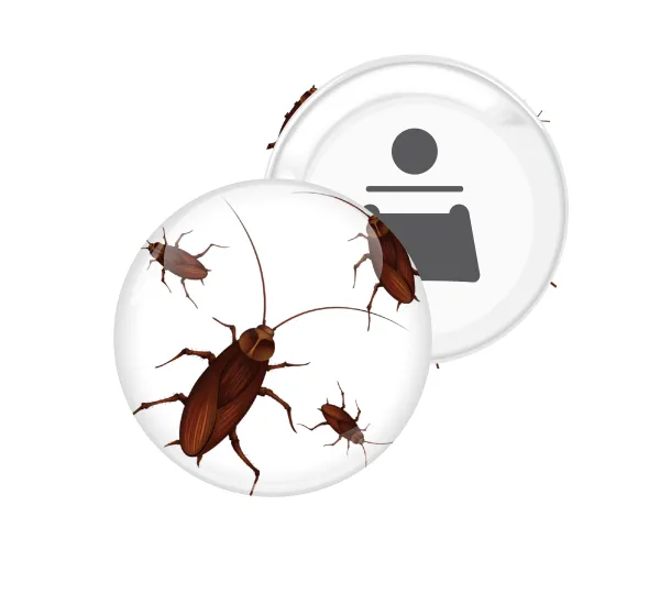 Blattodea — 1