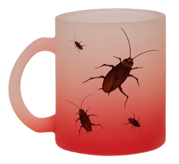 Blattodea — 1
