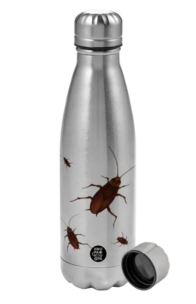 Blattodea — 1