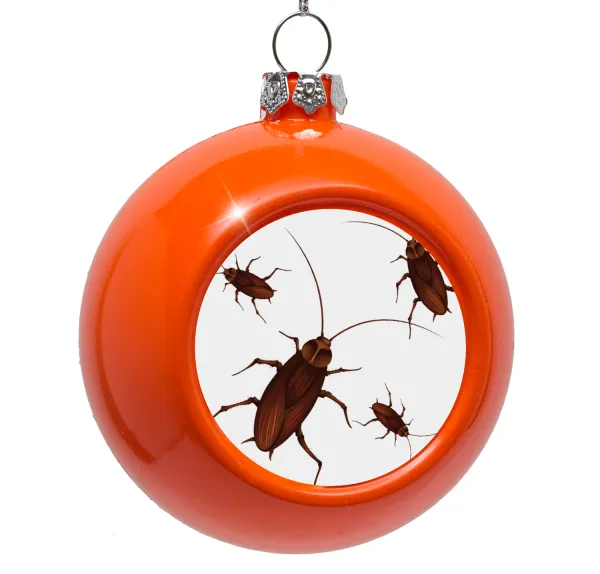 Blattodea — Orange Christmas tree ornament bauble 8cm