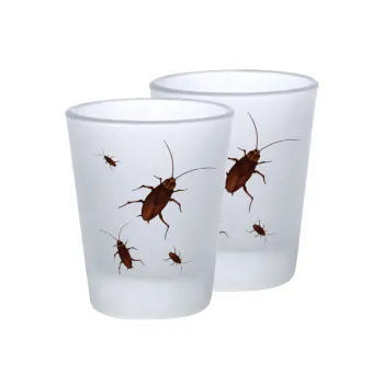 Blattodea, Σφηνοπότηρα γυάλινα 45ml του πάγου (2 τεμάχια)