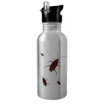 Blattodea, Water bottle Silver with straw, stainless steel 600ml
