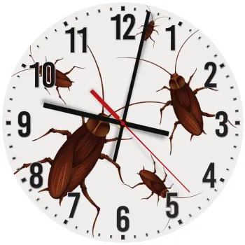 Κατσαρίδα, Ρολόι τοίχου ξύλινο (30cm)