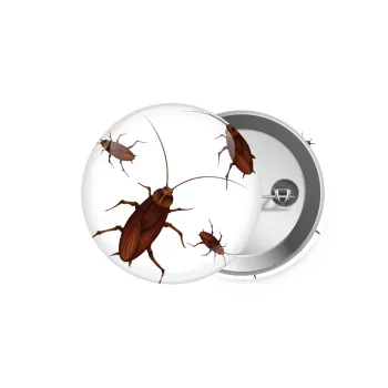 Κατσαρίδα, Κονκάρδα παραμάνα 5.9cm