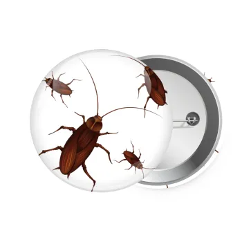 Κατσαρίδα, Κονκάρδα παραμάνα 7.5cm