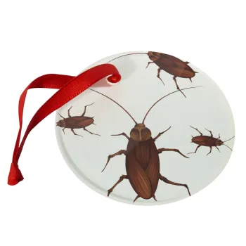 Blattodea, Christmas ornament glass 9cm