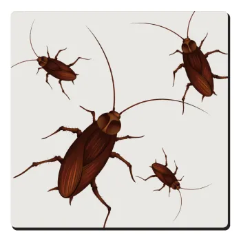 Blattodea, Τετράγωνο μαγνητάκι ξύλινο 6x6cm