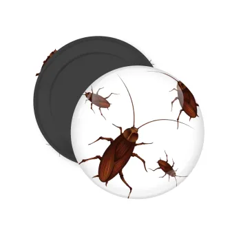 Blattodea, Μαγνητάκι ψυγείου στρογγυλό διάστασης 5cm