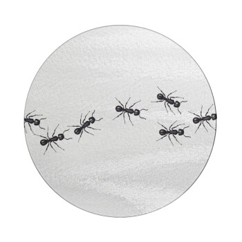 Μυρμήγκια, Επιφάνεια κοπής γυάλινη στρογγυλή (30cm)
