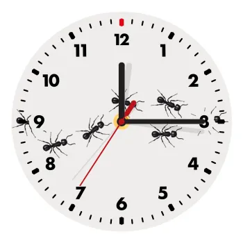 Μυρμήγκια, Ρολόι τοίχου ξύλινο (20cm)