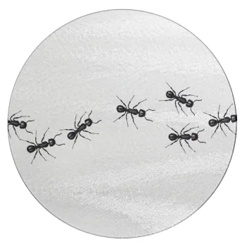 Ants, Επιφάνεια κοπής γυάλινη στρογγυλή (30cm)