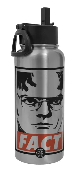 Dunder Mifflin FACT — Metal mug thermo Silver with Straw and Spout Lid (Stainless steel), double wall, 950ml