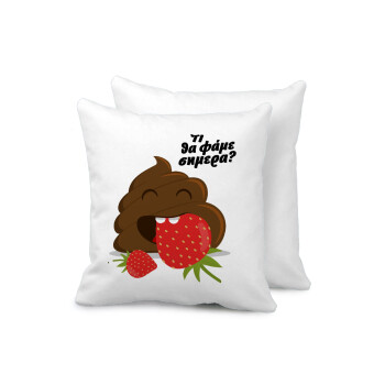 Τι θα φάμε σημερα???, Sofa cushion 40x40cm includes filling