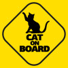 CAT on board