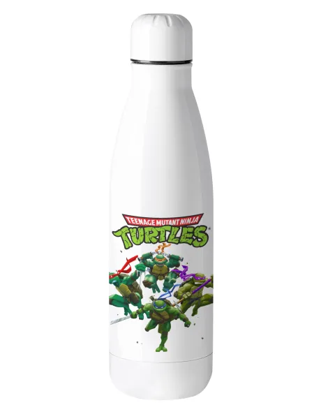 Ninja turtles — 1
