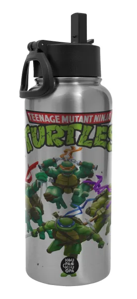 Ninja turtles — 1